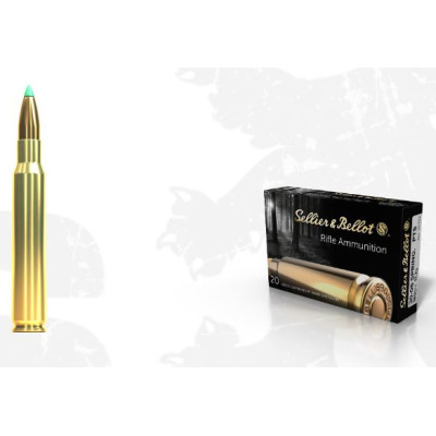 .30-06 SPRG. PTS 180grs Sellier&Bellot