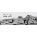 RUGER LCP MAX .380Auto