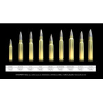 .308Win. Sreen Ammo 124gr/8g SCR Sellier&Bellot 50ks