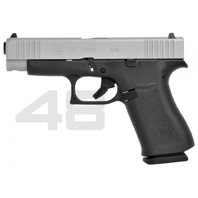 Glock 48 Silver Slide